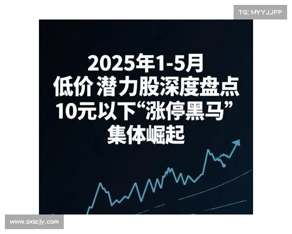 黑马预测：如何利用数据与趋势捕捉行业潜力股实现投资成功